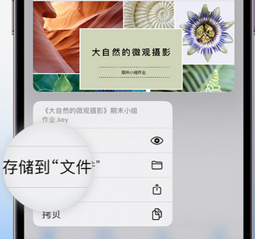 昆玉apple维修中心分享iPhone文件应用中存储和找到下载文件