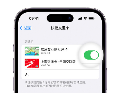 昆玉apple维修点分享iPhone上更换Apple Pay快捷交通卡手绘卡面 