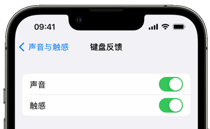 昆玉苹果手机维修分享iPhone 14触感键盘使用方法 