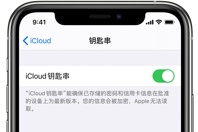 昆玉苹果手机维修分享在 iPhone 上开启 iCloud 钥匙串之后会储存哪些信息 